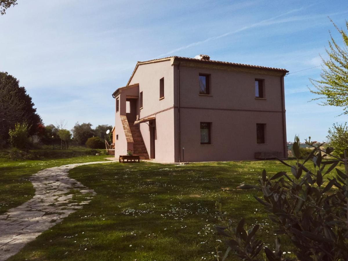 Il Gallo Silvestre - Bed&Books Montecassiano Exterior foto